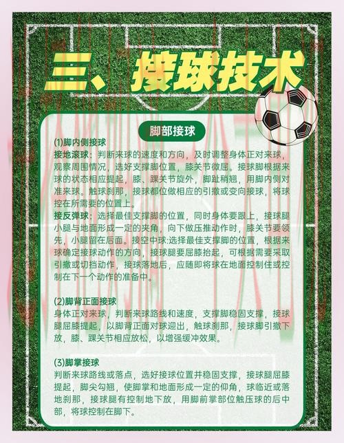 全方位解析B体育综合版体验 全方位解析B体育综合版体验