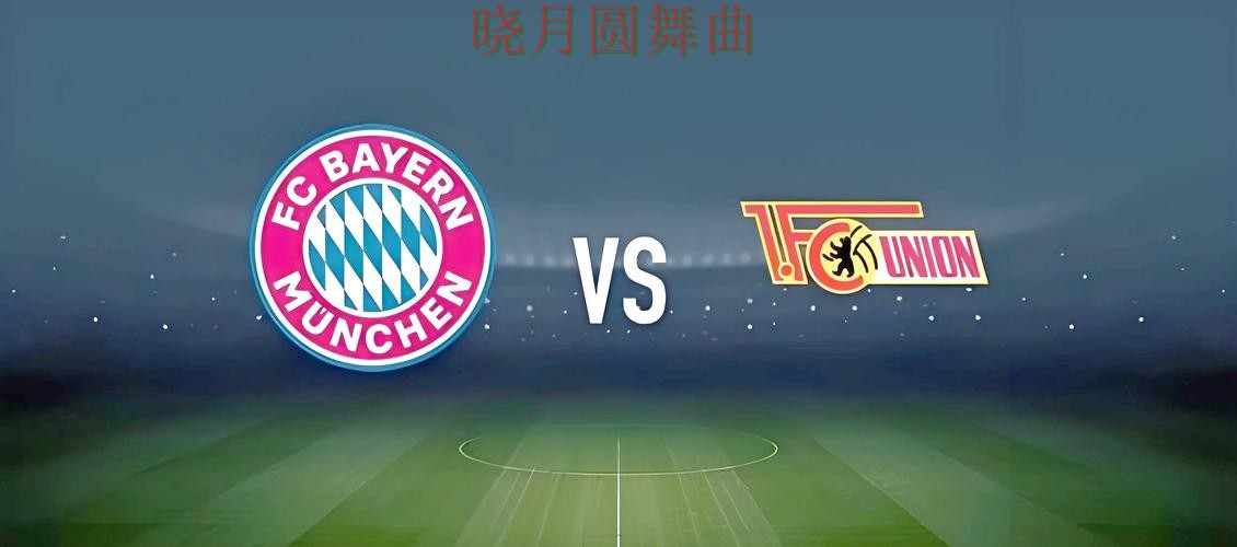 世界杯投注活动页面怎么理解更高效